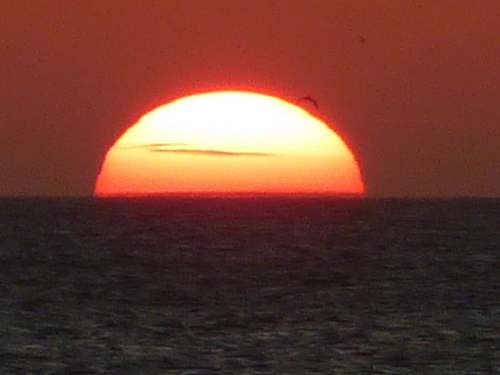 jellybean_1215's profile picture. I put the fun in dysFUNctional