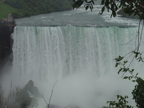 manhassetmama's profile picture. 