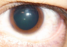 takumaniaxxx's profile picture. 元映像クリエイター パソコン・映画 好き