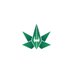 cannabiscapitol (@cannabiscapito2) Twitter profile photo cannabiscapitol (@cannabiscapito2) Twitter profile photo