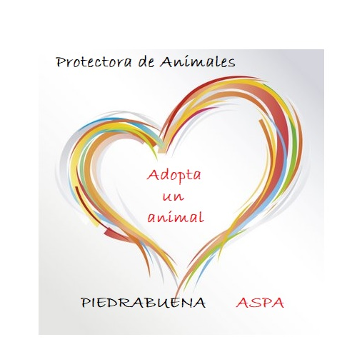 Protectora de Animales de Piedrabuena. Si desea adoptar un animal: adopciones.piedrabuena@gmail.com