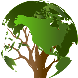 GreenScores's profile picture. The GreenScore City Index is an ongoing study of the anthropogenic impact cities have on the biosphere and the pressures they exerted on the surrounding land.