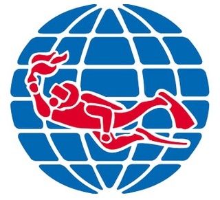 padikorea's profile picture. 