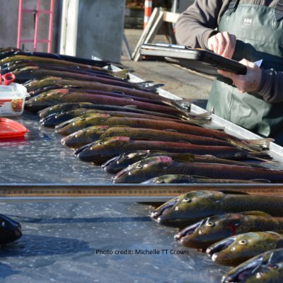 Epic4Coho's profile picture. EPIC4 is a large scale research project that uses genomics to address challenges facing the sustainable management and production of Coho Salmon.