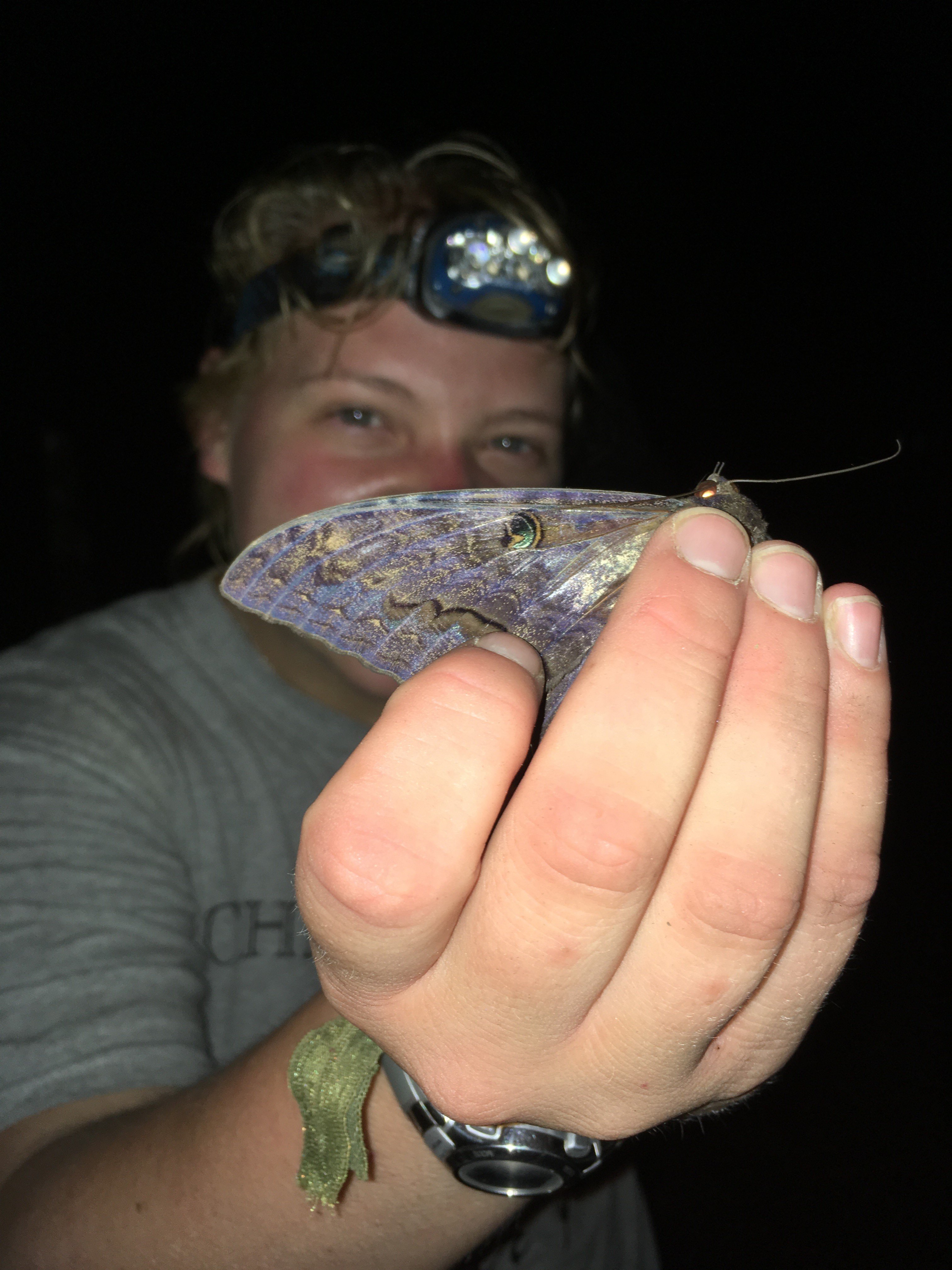 arcatnid's profile picture. MSUS '17
Curatorial Assitant at Carnegie Museum of Natural History
Entomologist, Arachnologist
Black Lives Matter