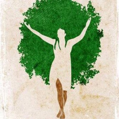 BarlasBelgin's profile picture. 