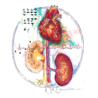 Henry Ford Hypertension and Vascular Research (@hfhypertension) 's Twitter Profile