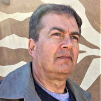 Mark Fine (@markfine_author) 's Twitter Profile