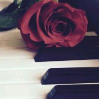 Mervece (@mervecekitaplar) Twitter profile photo