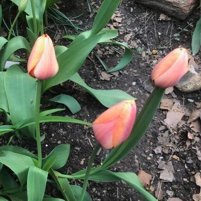 hotsydunk's profile picture. Communications professional based in Toronto.