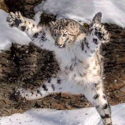 Tommyjohn07's profile picture. MAGA Trump 2020