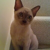 Prof Emma Barrett is an Ex-Tw*tter user (@crimepsychblog) 's Twitter Profile