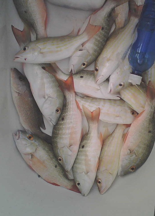 phillipbaltz's profile picture. 