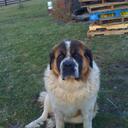 Beth Renfro - @ntr1207 - Twitter