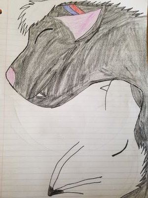 (18+) I'm 23 and loving it. Also, follow my twitch to see more of me there at Twitch: zillio_wolf_69. If you have any questions, just dm me 😁