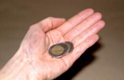 seobro's profile picture. SEO is me.