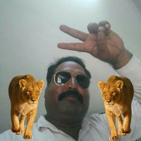 Raj Kumar Singh (@rajkuma68016605) 's Twitter Profile