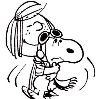 ぴぃひろさんのプロフィール画像