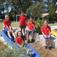 Barrack Heights Public School (@barrackheights) 's Twitter Profile Photo