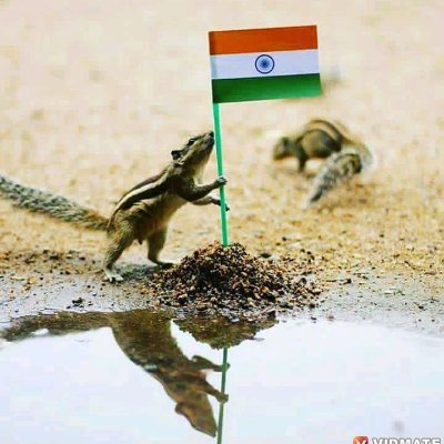 Amankhansaifi5's profile picture. I am student B.A Delhi University