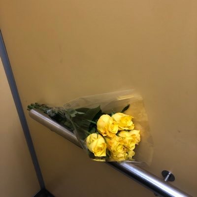 DorlyLi's profile picture. 