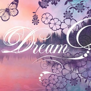 Shaygurl101's profile picture. 