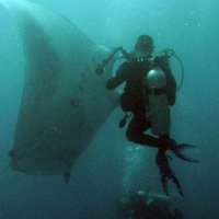 Randolph Fries (@friesrandolph) Twitter profile photo