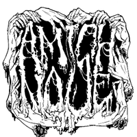 Amish Noise(@AmishNoise) 's Twitter Profile Photo