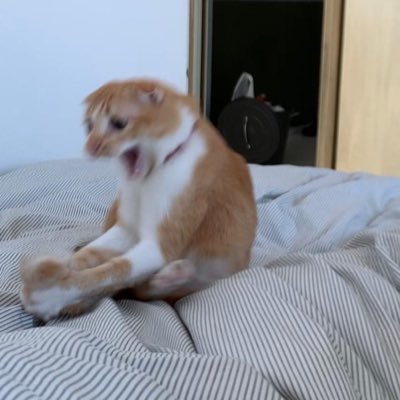 __khaing's profile picture. 