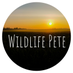 Wildlife Pete (@WildlifePete) Twitter profile photo