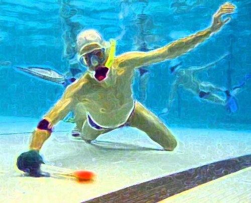 GO-UWH (Gatineau-Ottawa Underwater Hockey) welcomes everyone to this great real-life 3D sport — newbie adults, kids from 6 to 17, and world class players.