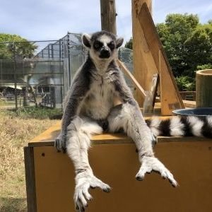 tantanmen0919's profile picture. 姫路淳心→早稲田→橋作り屋/取るに足らないひとつの生に耐えてゆく勇気。好きな食べ物:さば味噌