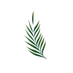 OASIS Database (@oasis_database) Twitter profile photo OASIS Database (@oasis_database) Twitter profile photo