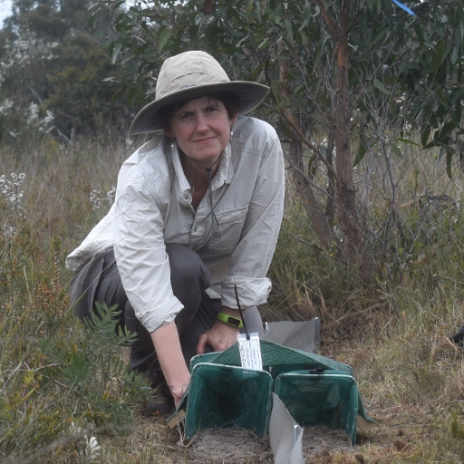 Senior Curator Reptiles & Frogs @museumsvictoria. Assoc. Prof.  
@MonashBiol. Author. Love nature, lizards, birds, museums, history. RT/likes not endorsement.