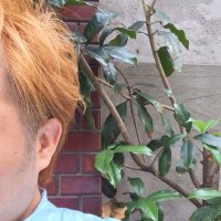 daisuke📻 (@dk19810313_r) Twitter profile photo