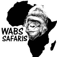 wabssafaris(@wabssafaris) 's Twitter Profile Photo