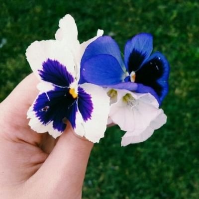 marquelda9's profile picture. 