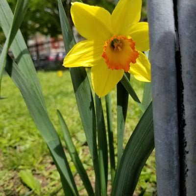 TremontPark's profile picture. Our mission is to connect the Tremont community through the beautification and activation of Tremont park.🌱