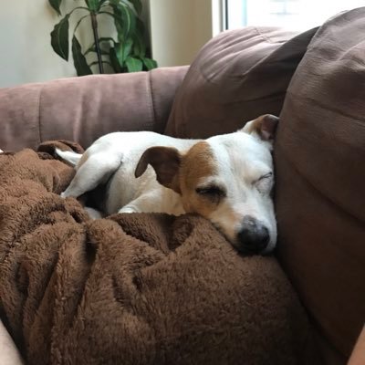 johnsoncb9's profile picture. 