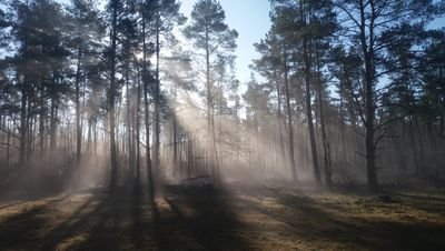 xjeniekjex's profile picture. 