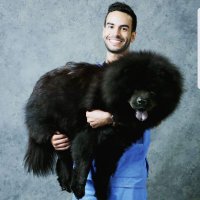 Jorge Isidoro Matos Rivero 🐸 (@jorgisi) 's Twitter Profile