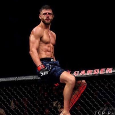 Calvin Kattar Profile