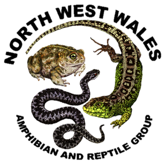 North West Wales ARG Profile