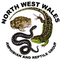 North West Wales ARG (@nwwarg) 's Twitter Profile