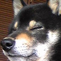 おゆう (@oyuchanko) 's Twitter Profile Photo