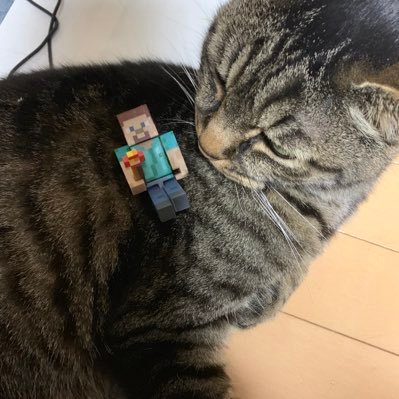 カメラ、バイク、車、熱帯魚、ドール、サバゲ、オーディオ、アマ無線、旅、ゲーム、PC改造、マキタ蒐集家おっさんです。最近ドール+カメラ垢とかしています。