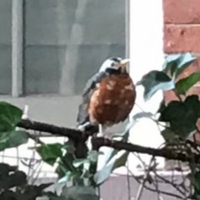 DanaDevita2's profile picture. We don’t have the money is a filthy lie! We are swimming in money but drowning in sordid priorities. I Love Soaps & Classic Films #GH #TCM