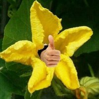 ๐ฏ์ผ๋ฅด์ ์นดํก ์งค ๋ชจ์ (@umpazzal_bot) 's Twitter Profile Photo ๐ฏ์ผ๋ฅด์ ์นดํก ์งค ๋ชจ์ (@umpazzal_bot) 's Twitter Profile Photo