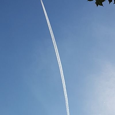 StephenLopkin's profile picture. 