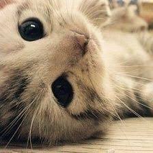 simapi_'s profile picture. 